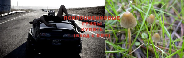 МДМА Кодинск