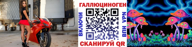 Псилоцибиновые грибы Psilocybine cubensis  Купить где  Куровское 