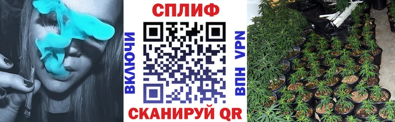 Купить  Куровское  Канабис White Widow 